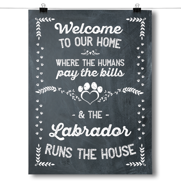 The Labrador Runs The House