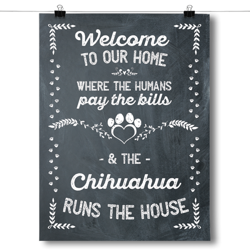 The Chihuahua Runs The House