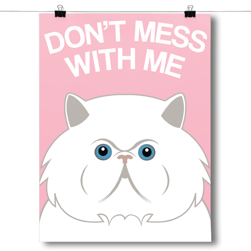 Don't Mess With Me - Persian Cat