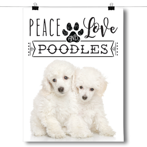 Peace Love and Poodles - Real Life