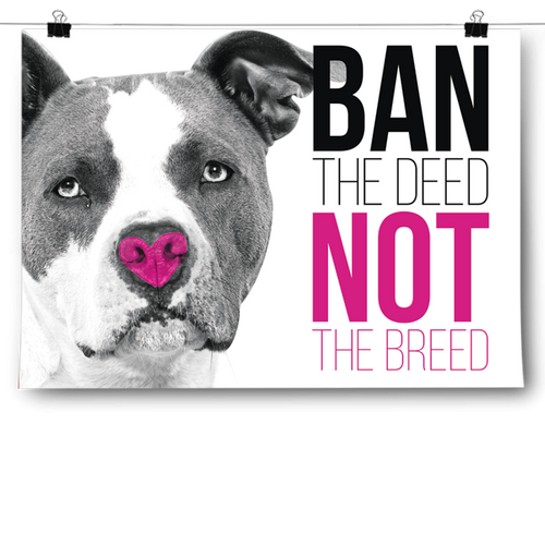 Ban The Deed, Not The Breed - Pitbull