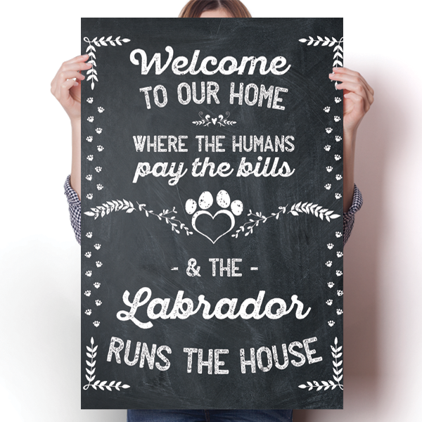 The Labrador Runs The House