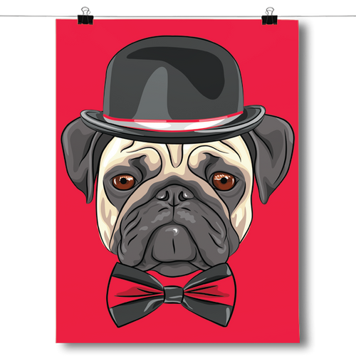 Mr. Pug Cool Dog