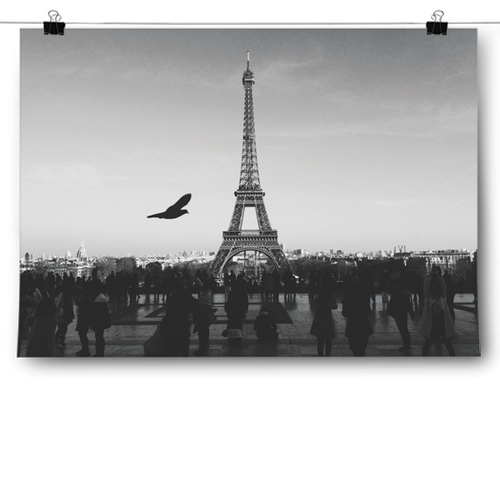 Eiffel Tower - Black & White