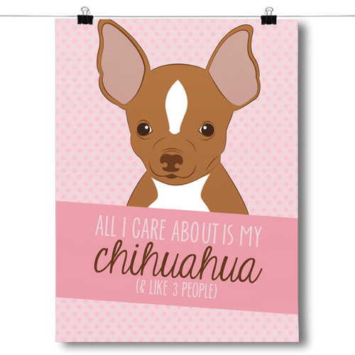 All I Care About Is My Chihuahua