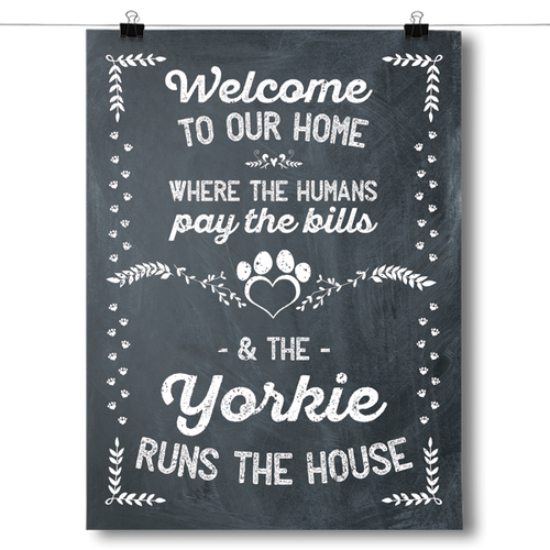 The Yorkie Runs The House