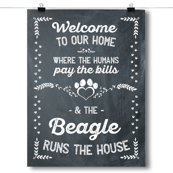 The Beagle Runs The House