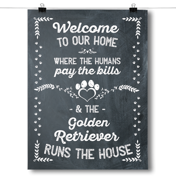 The Golden Retriever Runs The House