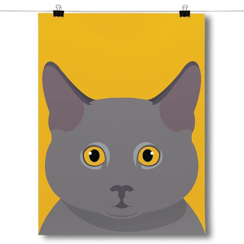 British Shorthair Face