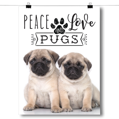 Peace Love and Pugs - Real Life