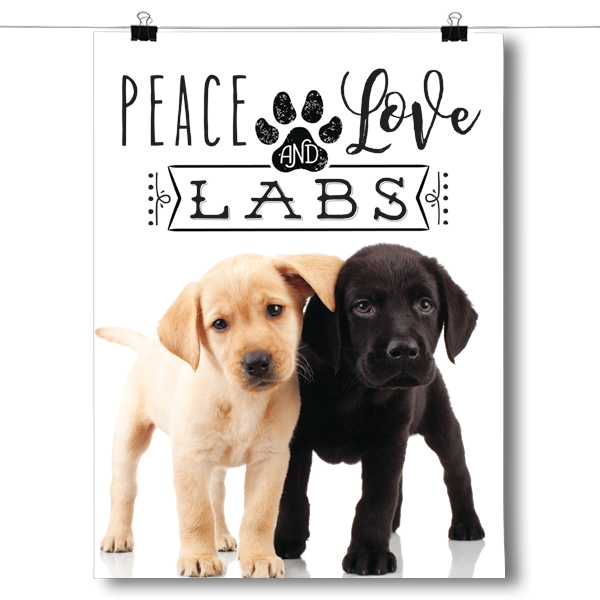Peace Love and Labs - Real Life