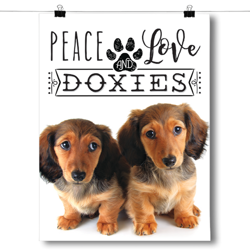 Peace Love and Doxies - Real Life