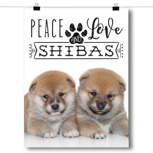 Peace Love and Shibas - Real Life
