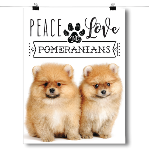 Peace Love and Pomeranians - Real Life