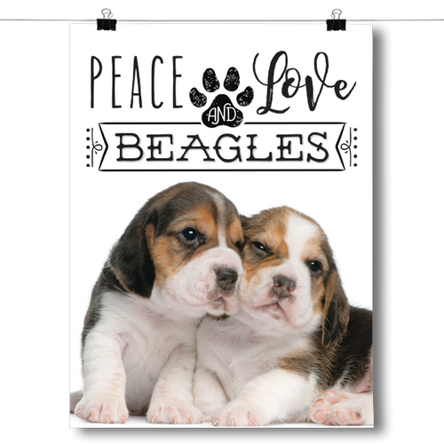 Peace Love and Beagles - Real Life