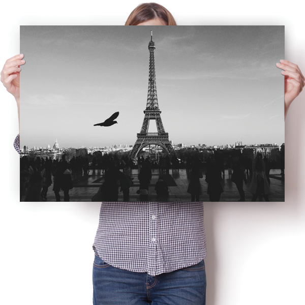Eiffel Tower - Black & White