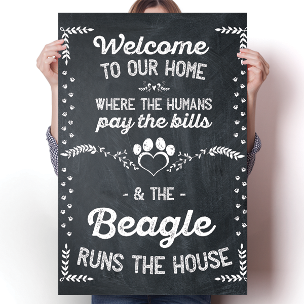 The Beagle Runs The House