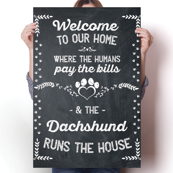 The Dachshund Runs The House