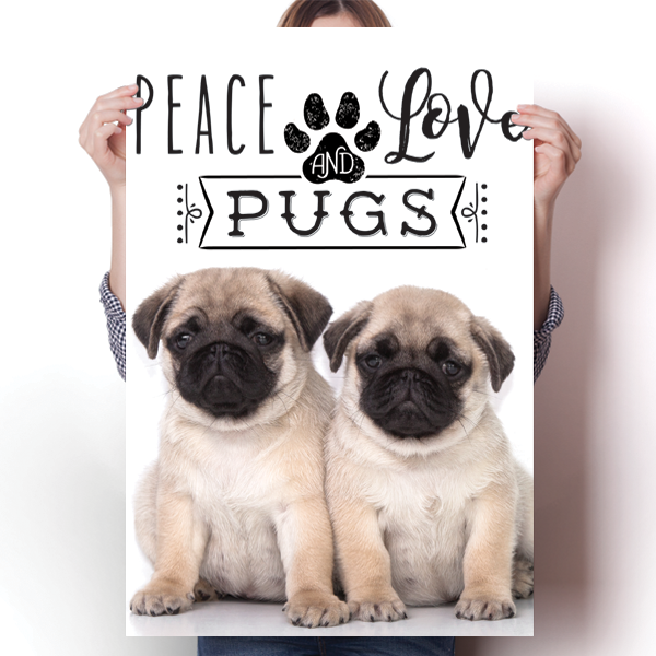 Peace Love and Pugs - Real Life