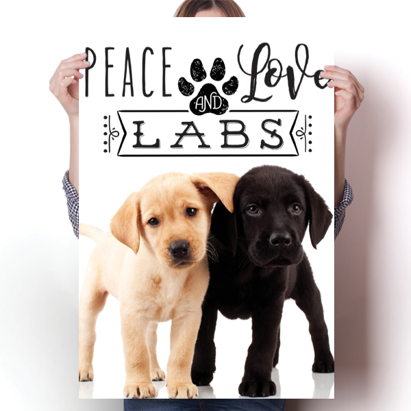 Peace Love and Labs - Real Life