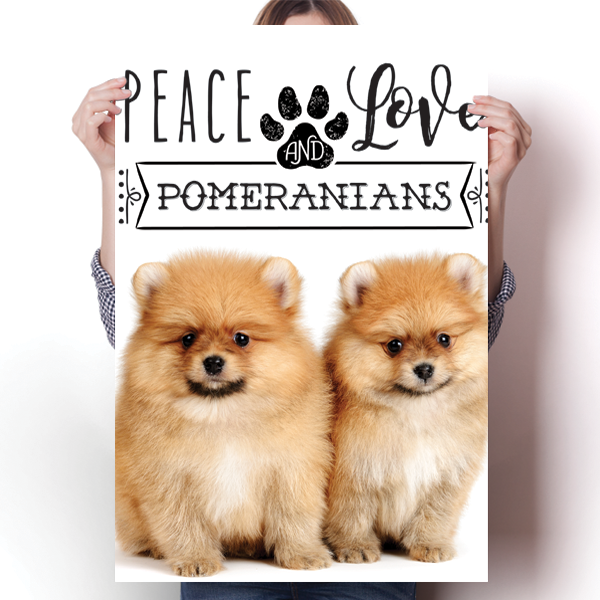 Peace Love and Pomeranians - Real Life