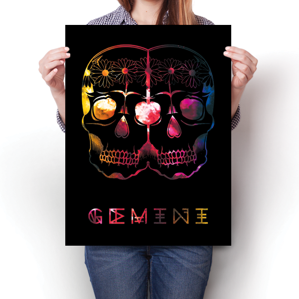 Cosmic Zodiac - Gemini