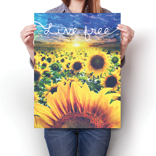 Live Free - Sunflower Field