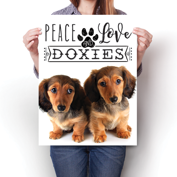 Peace Love and Doxies - Real Life