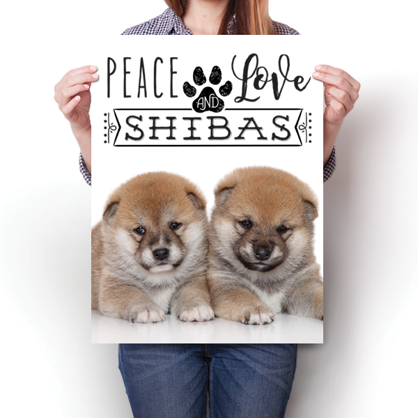 Peace Love and Shibas - Real Life