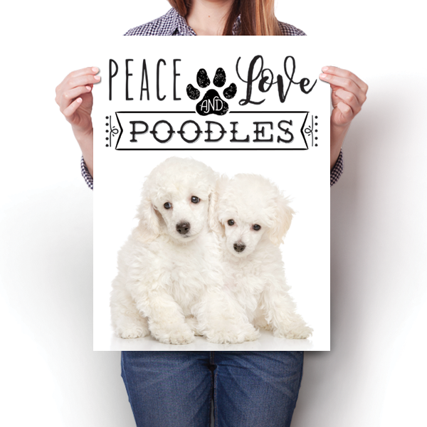 Peace Love and Poodles - Real Life