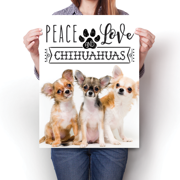 Peace Love and Chihuahuas - Real Life