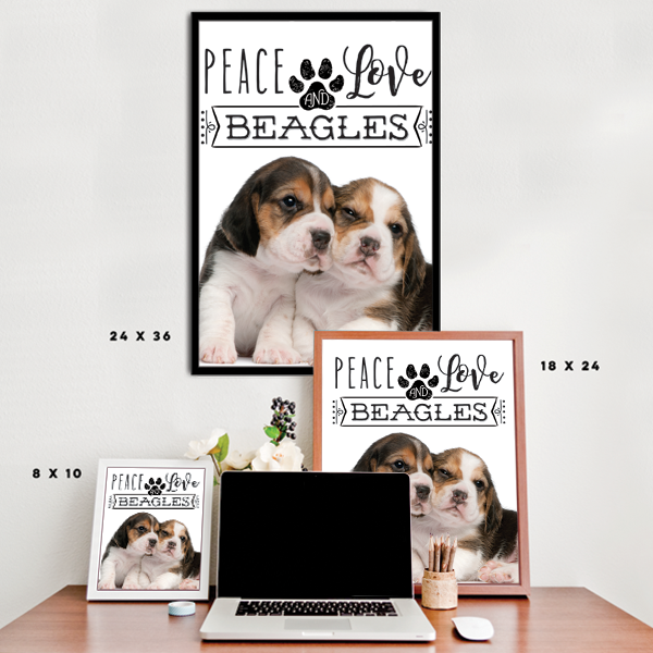 Peace Love and Beagles - Real Life